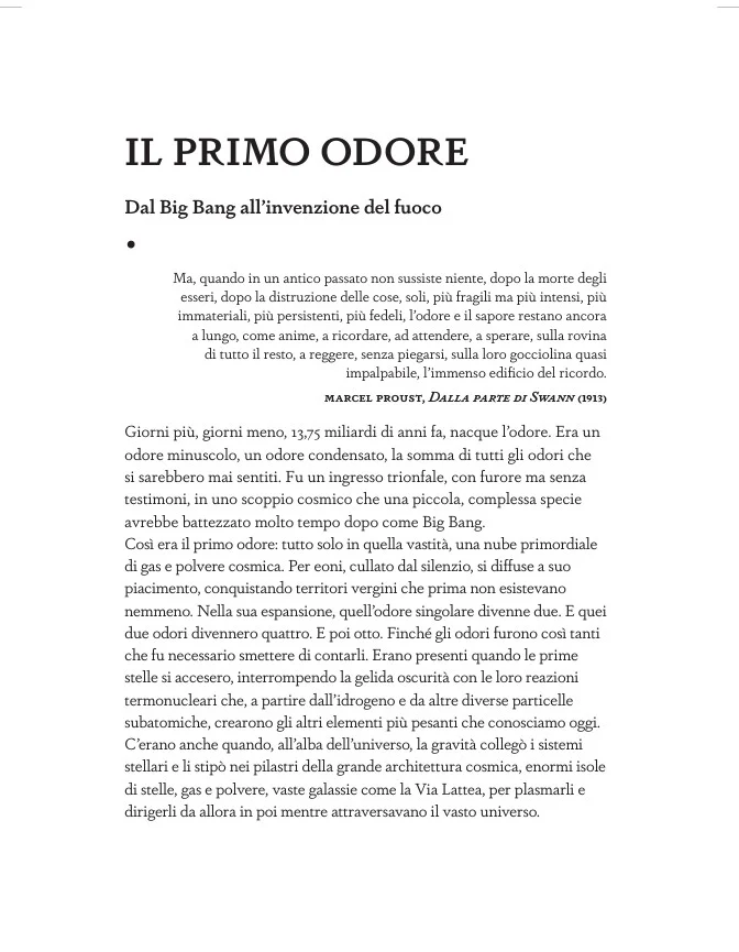 Immagine prodotto 3
