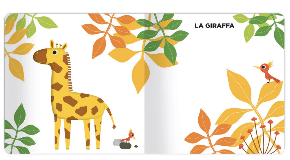 Immagine prodotto 4