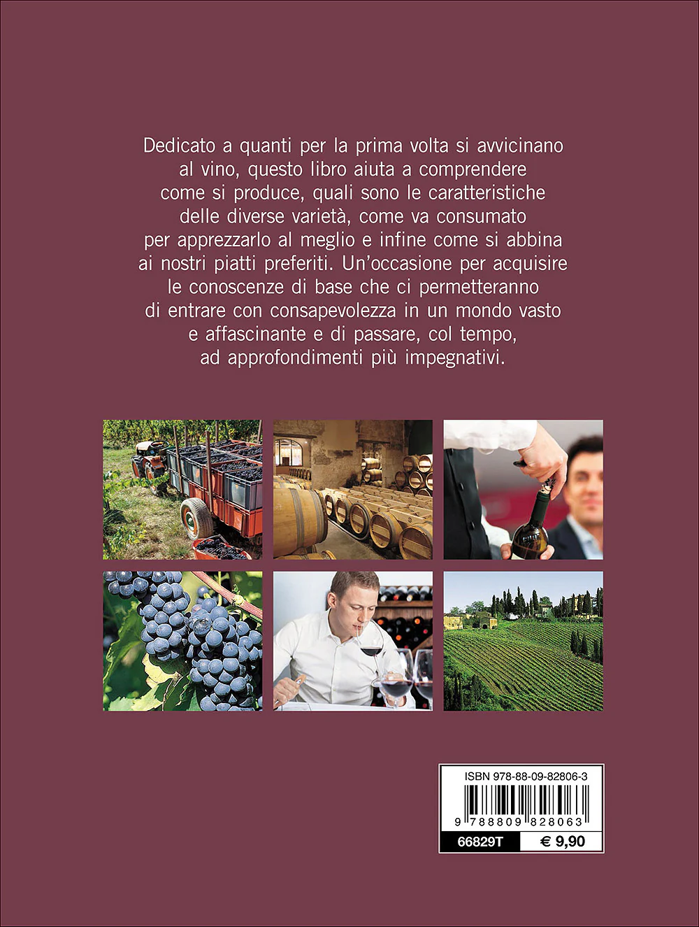 Immagine prodotto 2