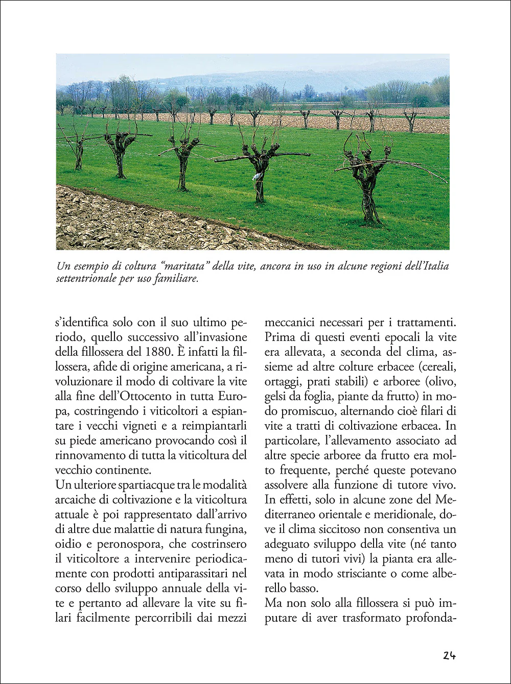 Immagine prodotto 4