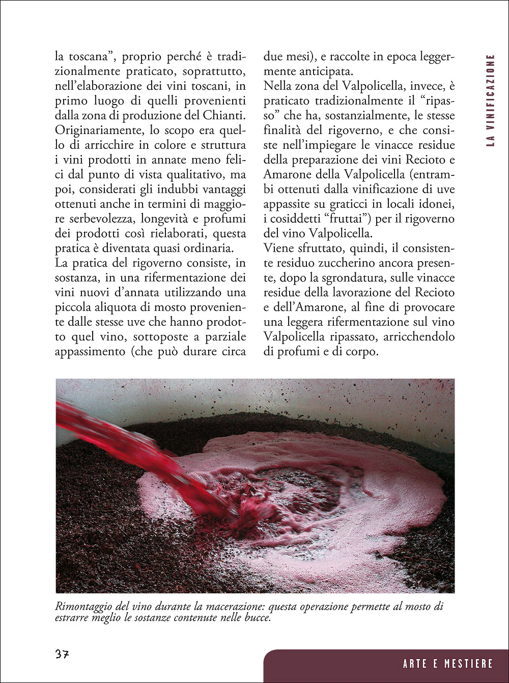 Immagine prodotto 5
