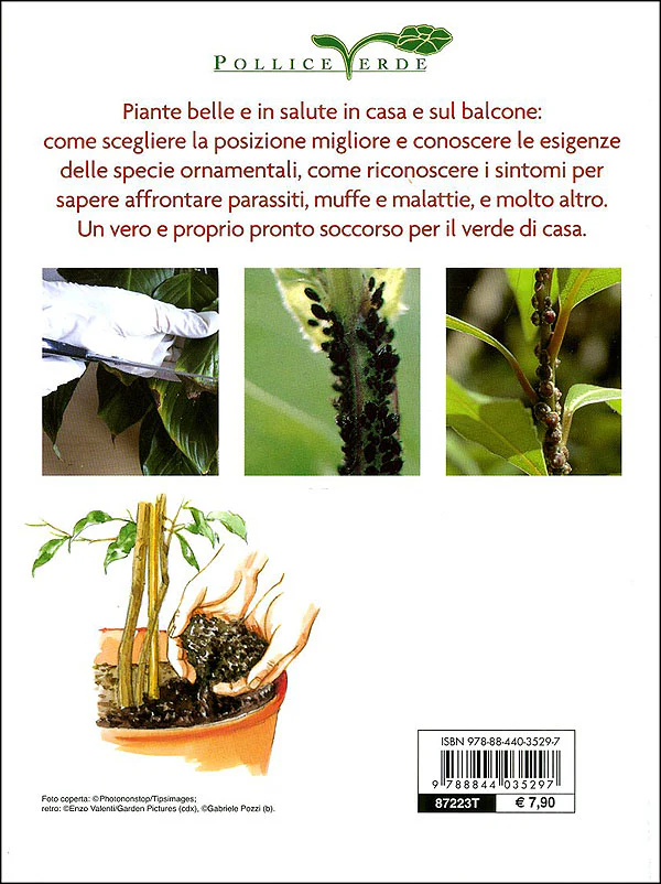 Immagine prodotto 2