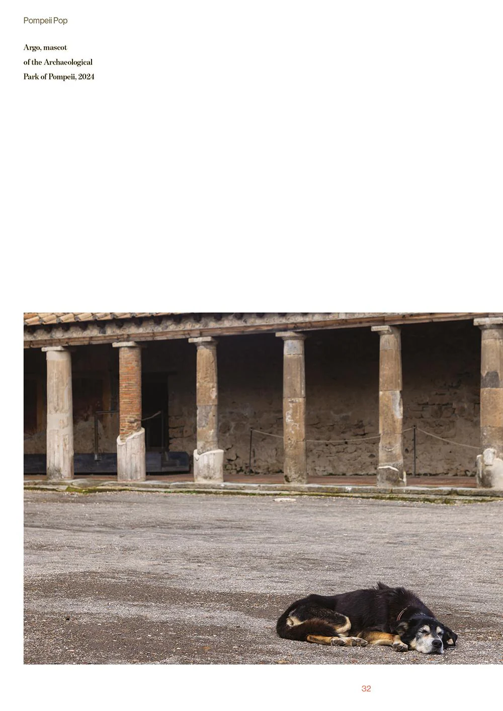 Immagine prodotto 4