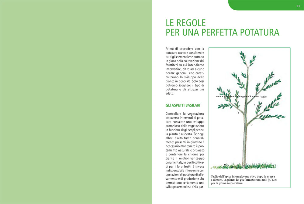 Immagine prodotto 5