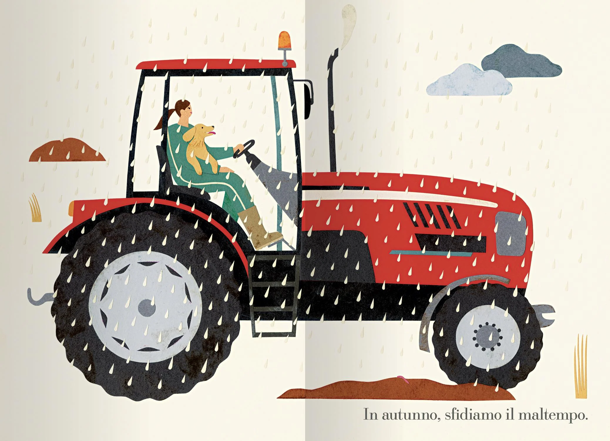 Immagine prodotto 4