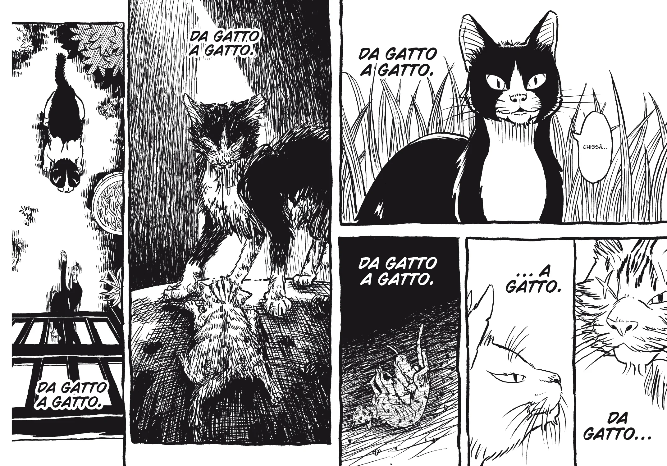Immagine prodotto 5