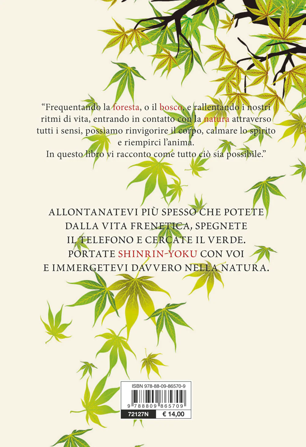 Immagine prodotto 2