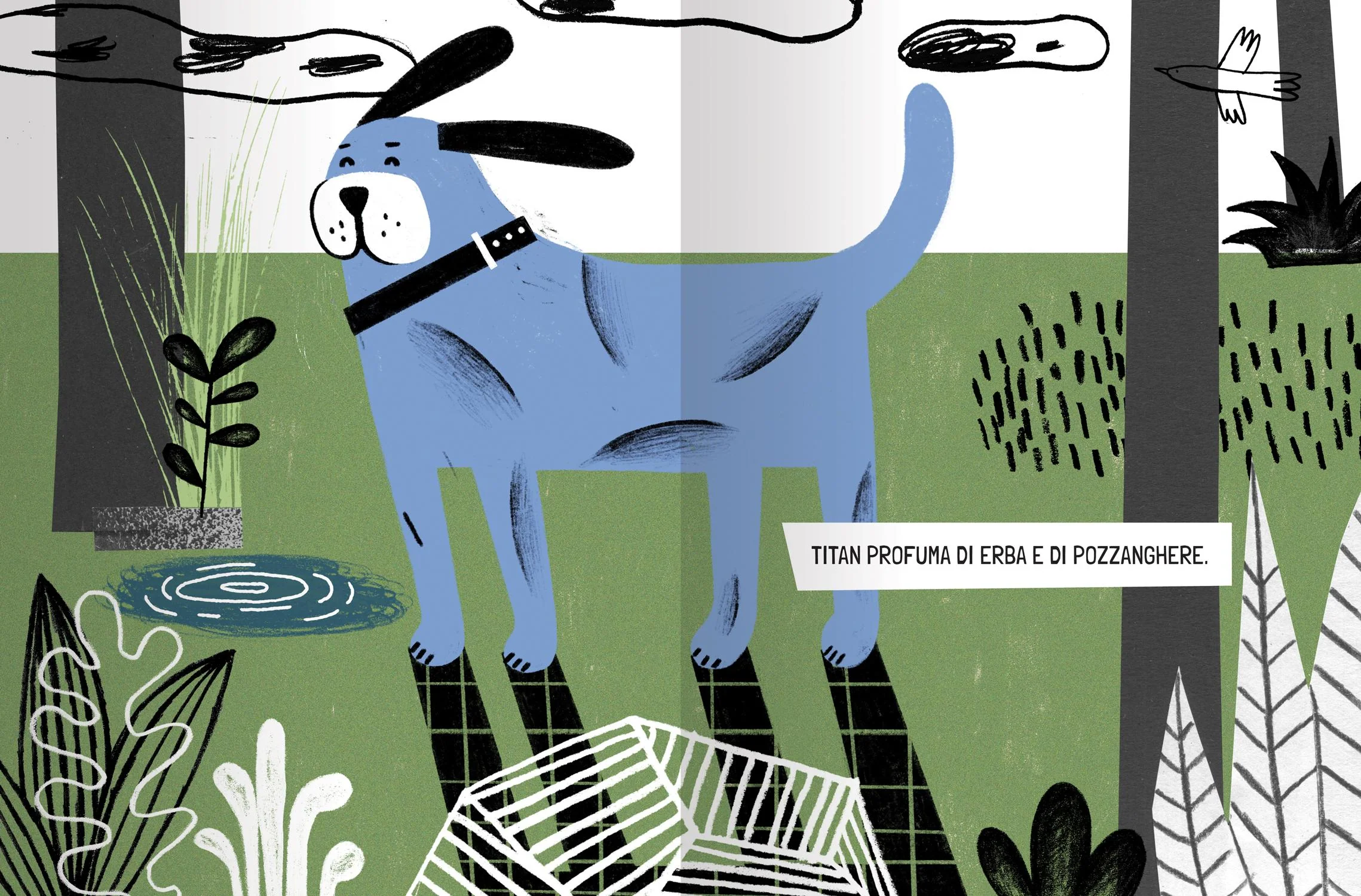 Immagine prodotto 5