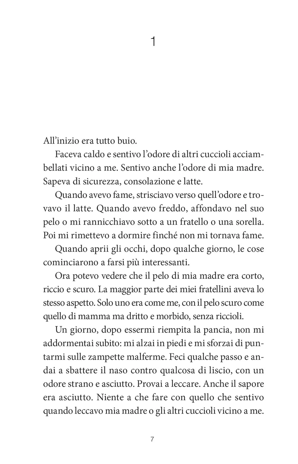 Immagine prodotto 3