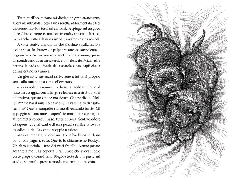 Immagine prodotto 4