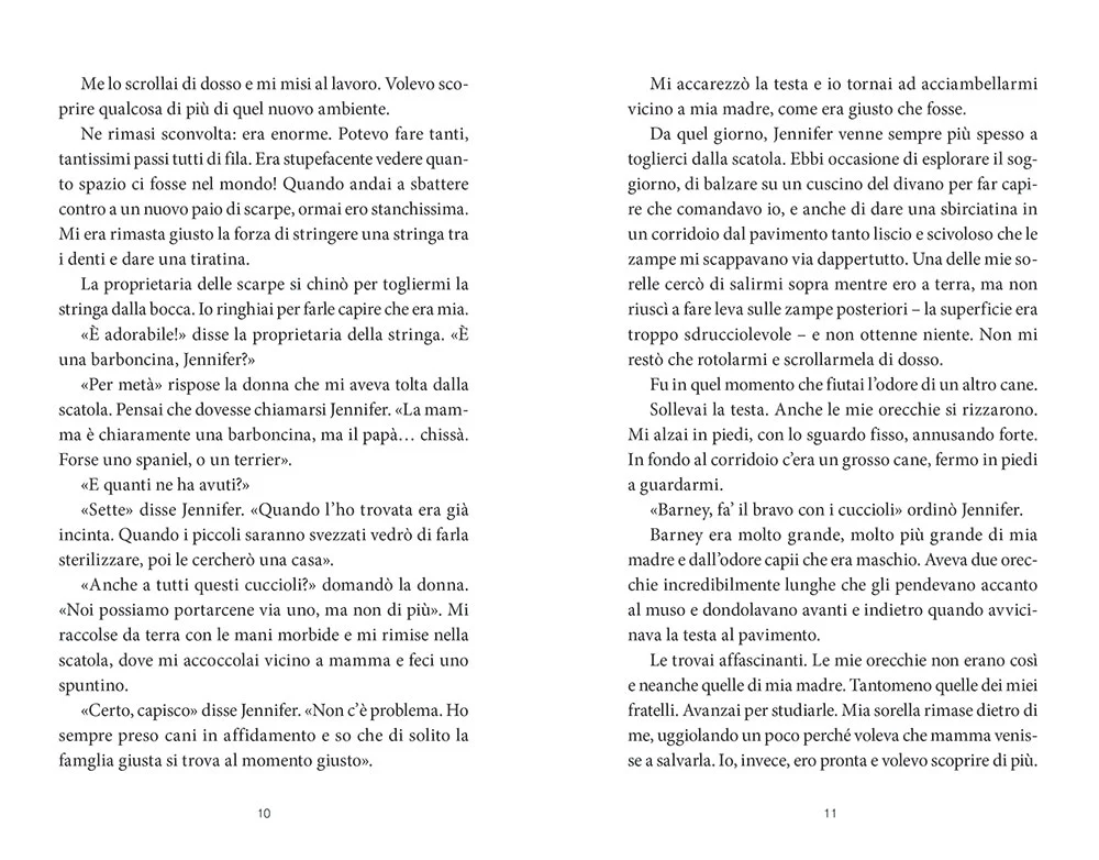 Immagine prodotto 5