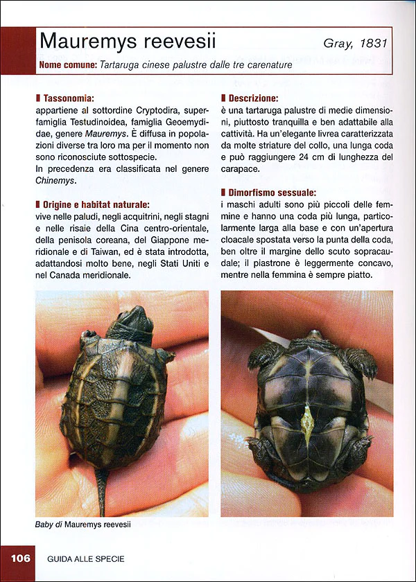 Immagine prodotto 6