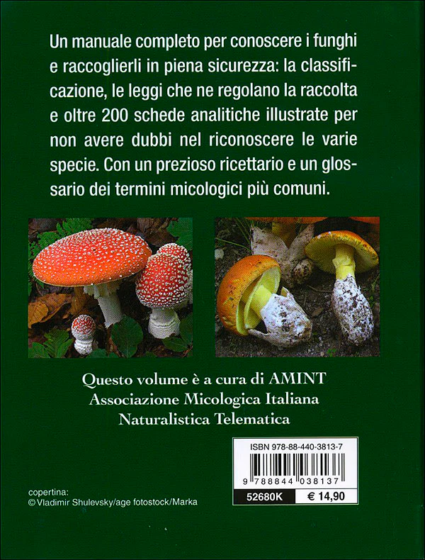 Immagine prodotto 2