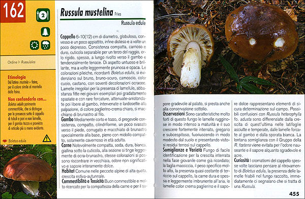 Immagine prodotto 4