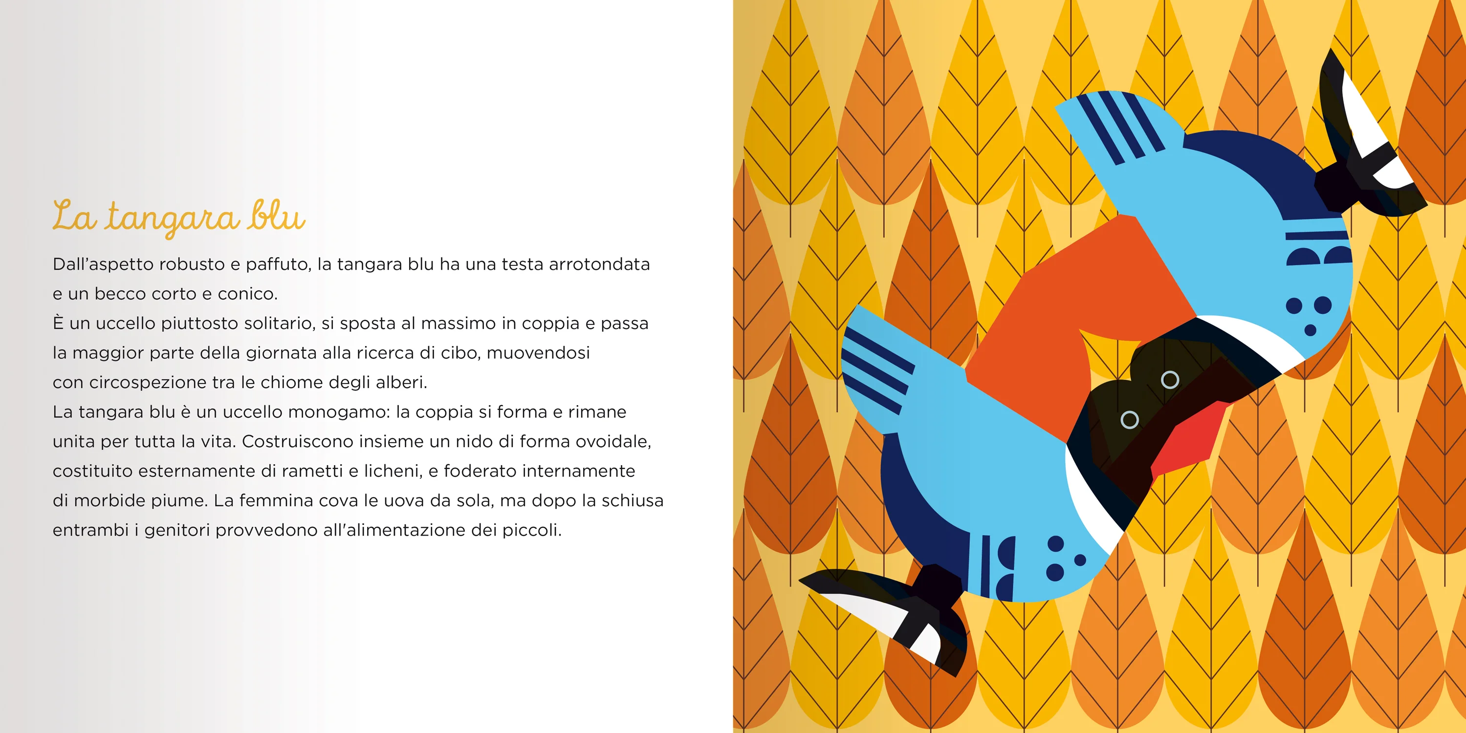 Immagine prodotto 5