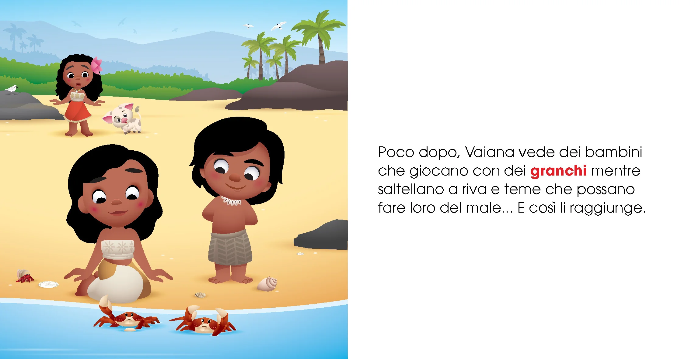 Immagine prodotto 4
